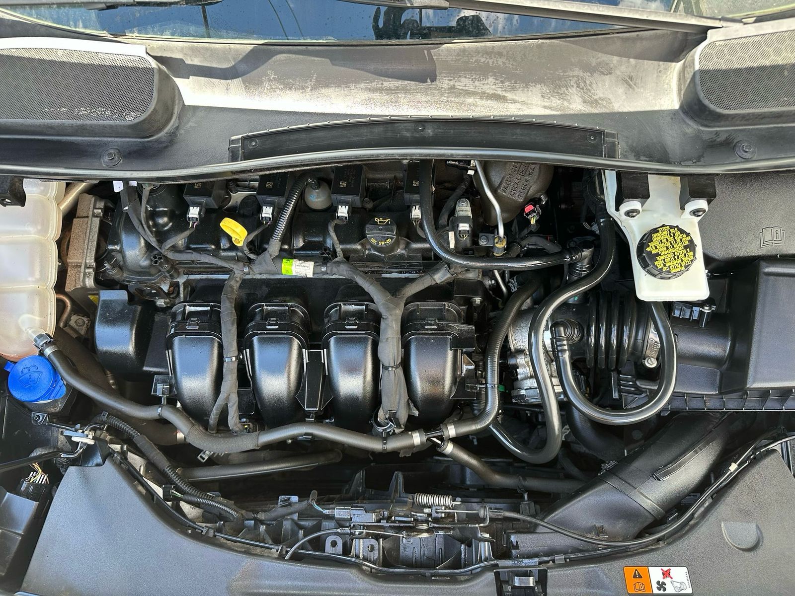 Car detailing miami