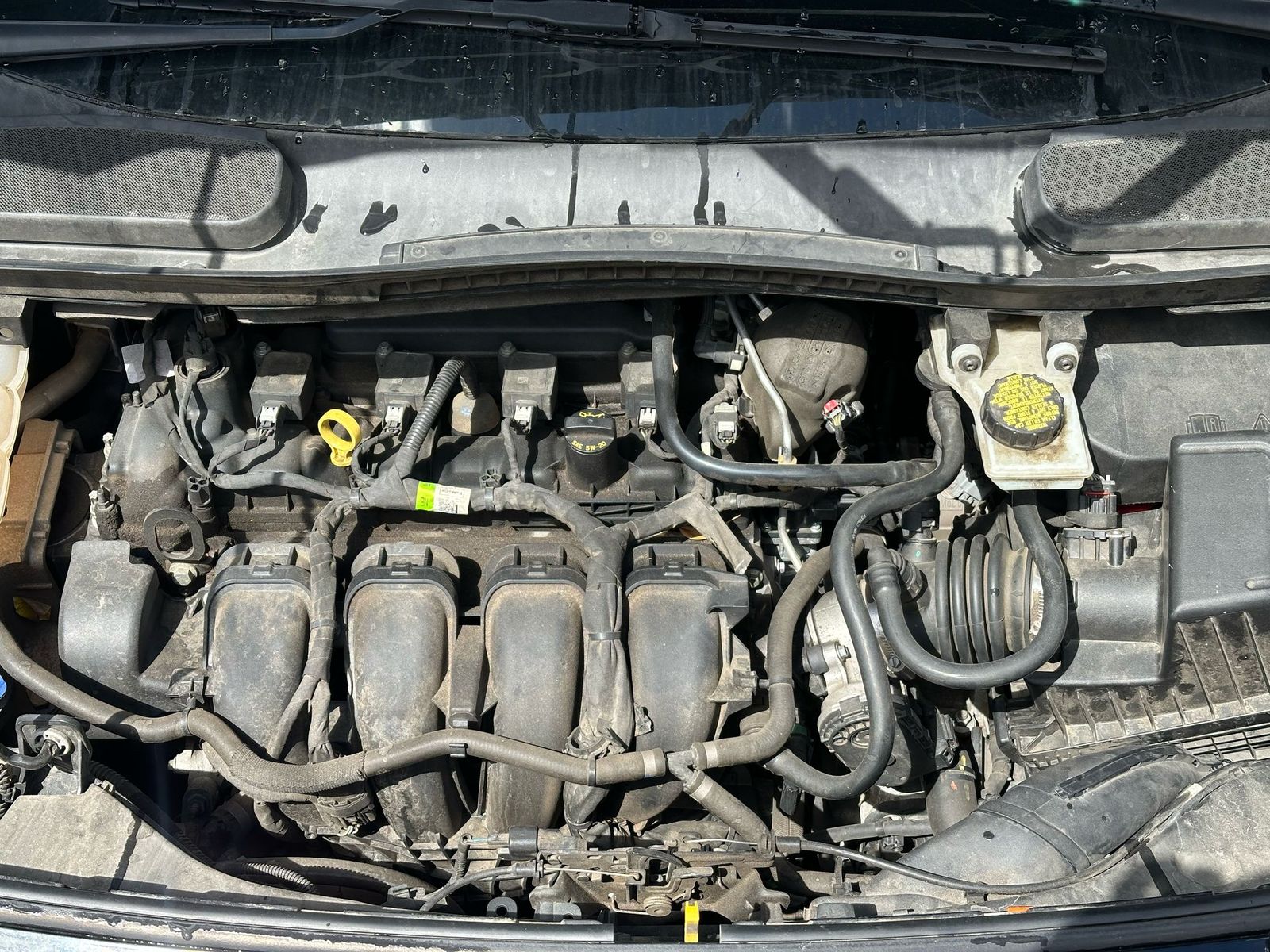 Car detailing miami